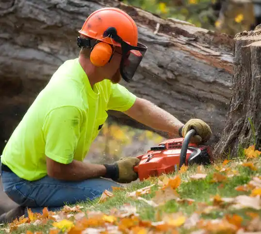 tree services Tchula